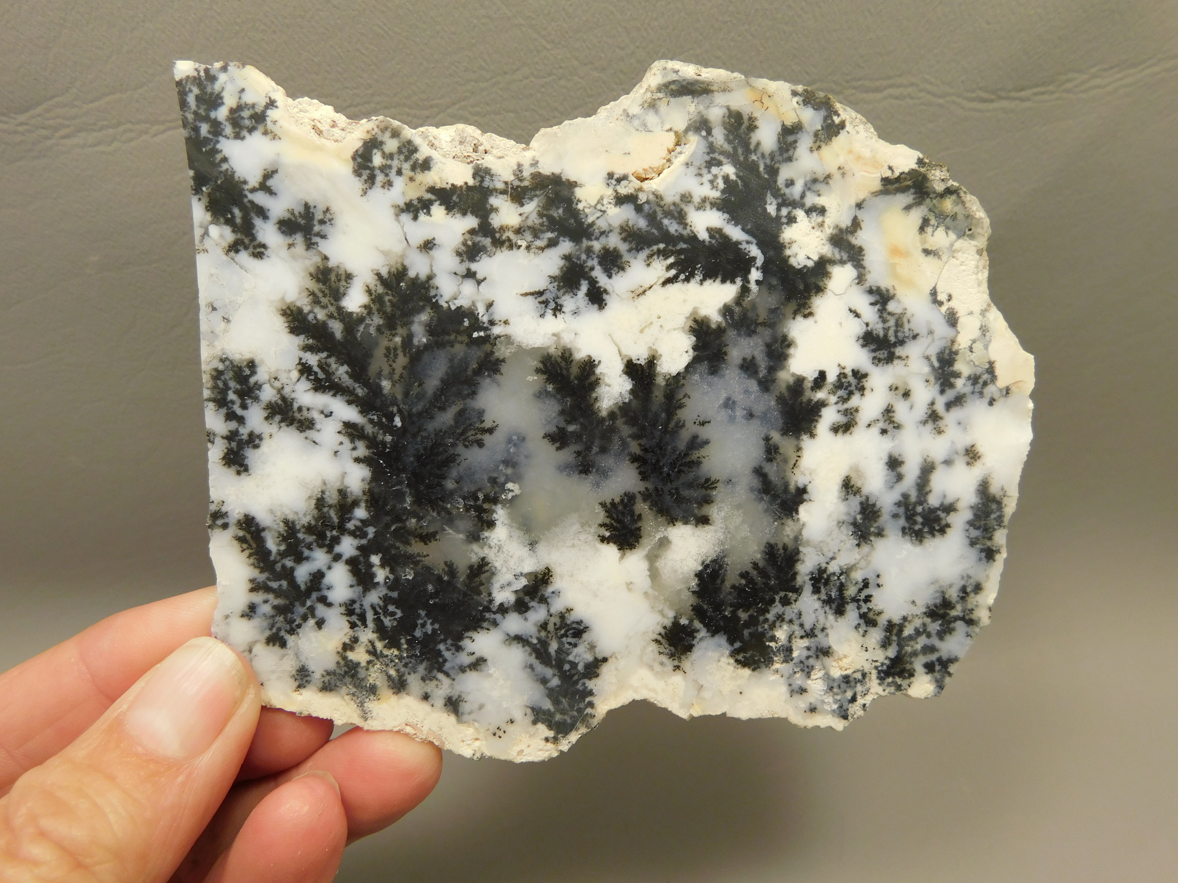 Medicine Bow Agate