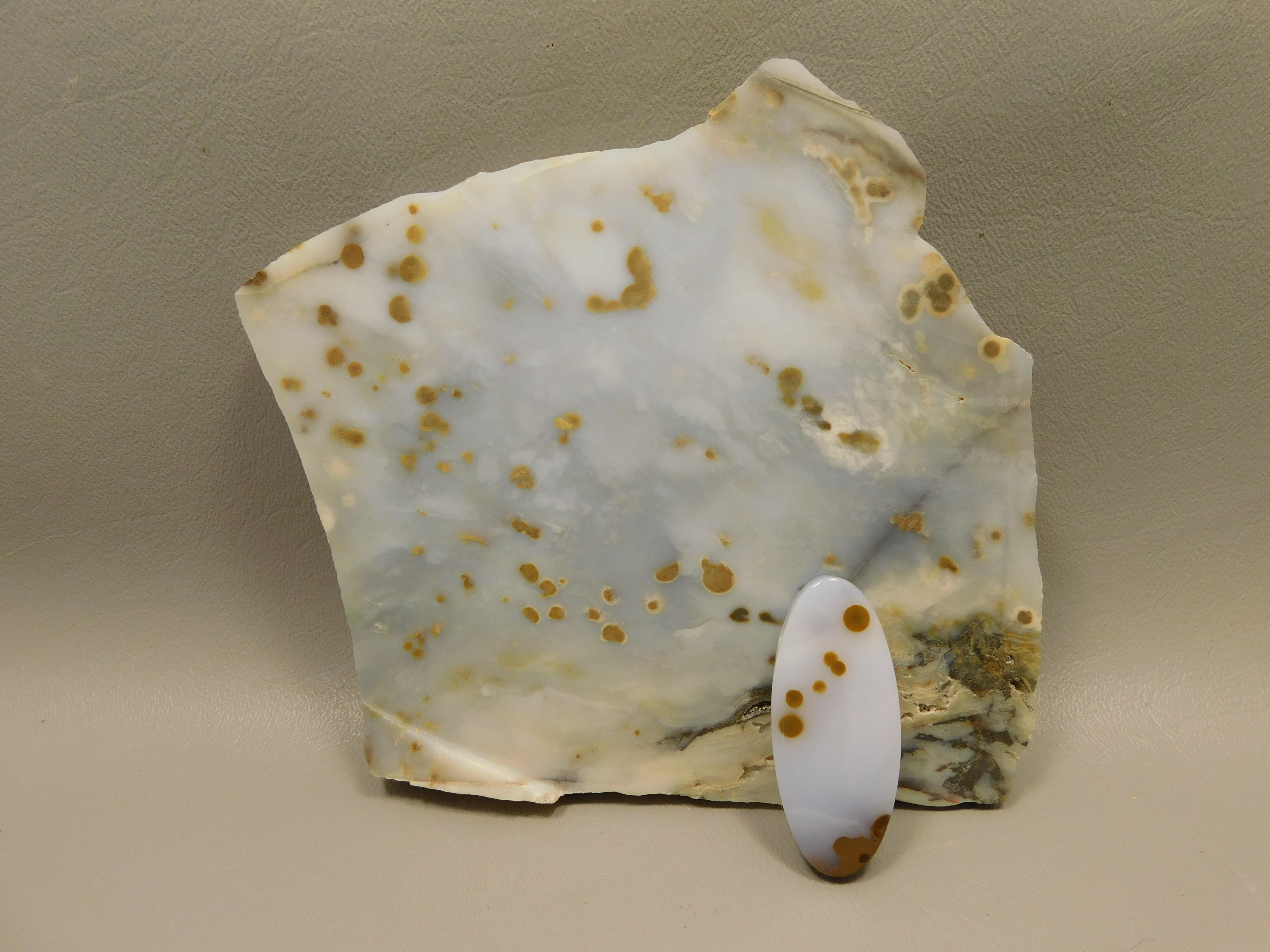 Orbicular Agate or Polka Dot Agate