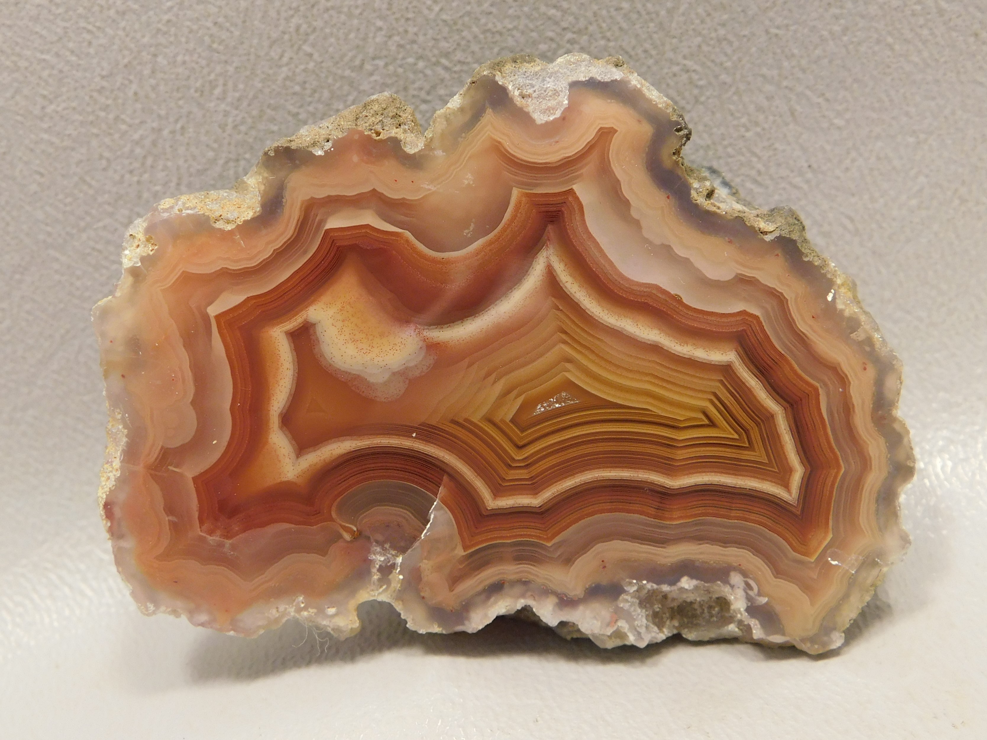 laguna-agate.jpg laguna-agate.jpg