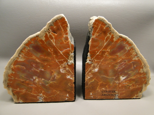 petrified-conifer-wood-polished-bookends.jpg