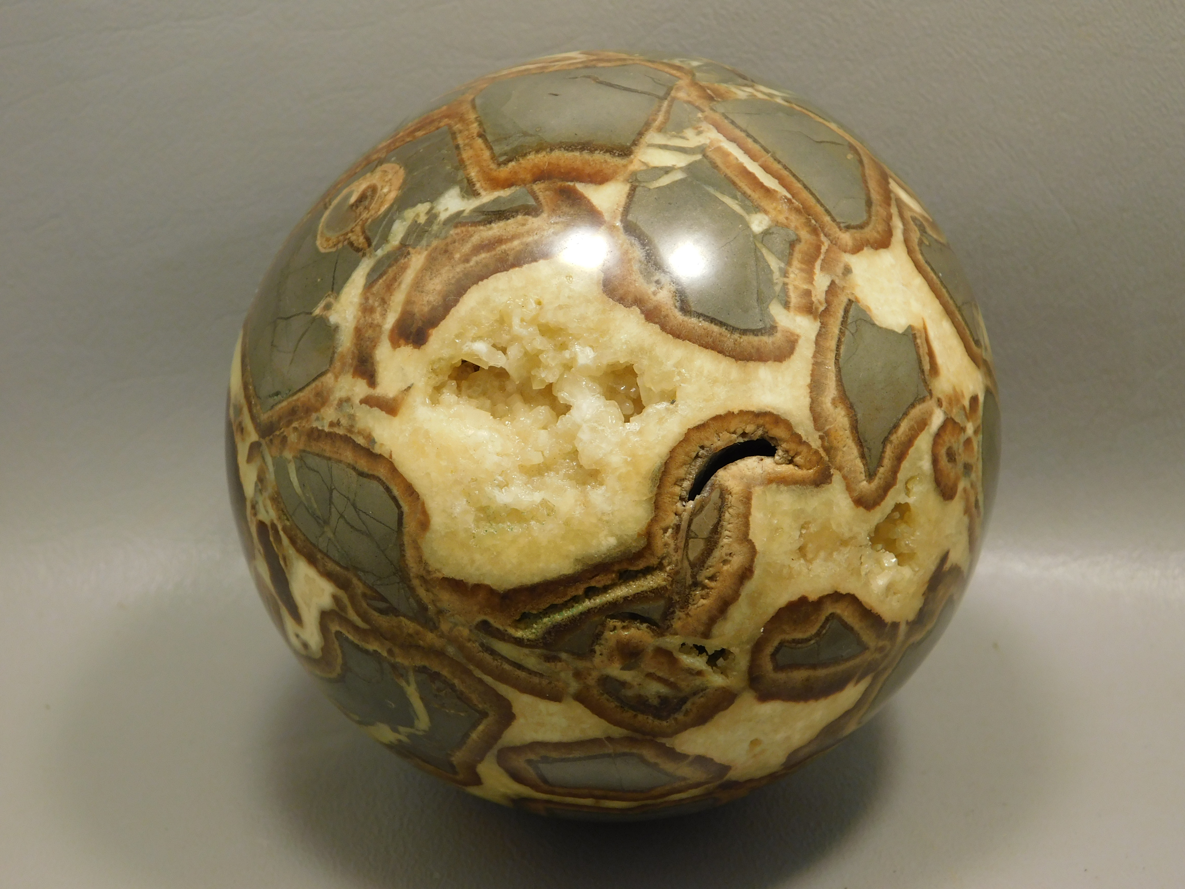 septarian-nodule septarian-nodule